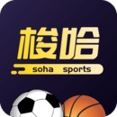 五大联赛比赛录像回放JRS体育app