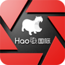 小马足球官方版