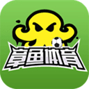 章鱼直播足球比赛