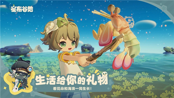 星布谷地测试服VIP版