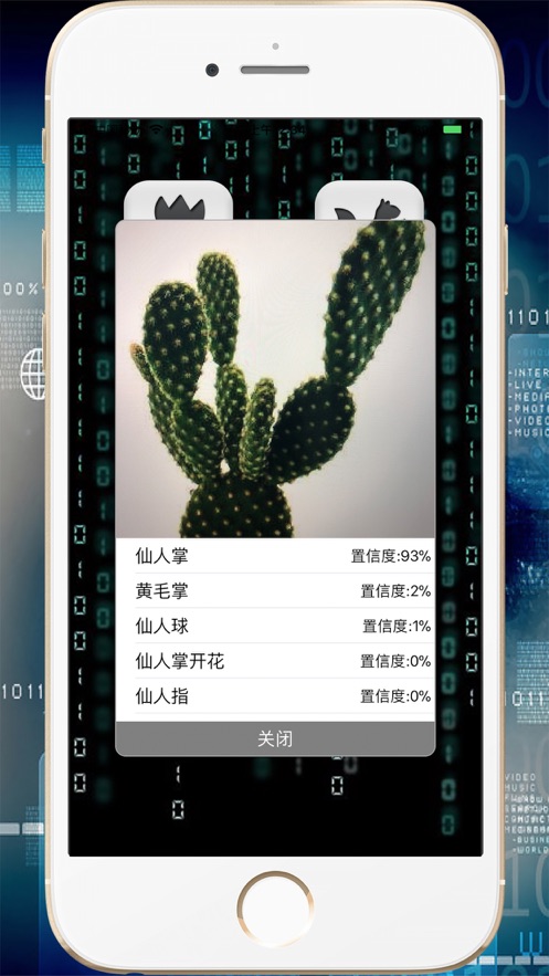 慧眼识图app2021新版下载
