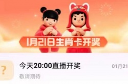 支付宝生肖卡怎么激活 支付宝生肖卡激活方法介绍